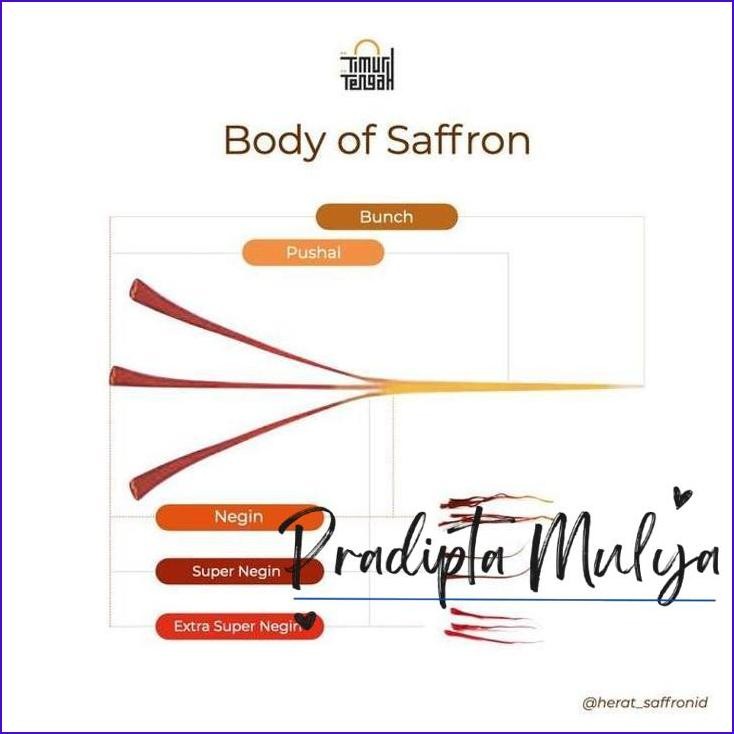 

Terbaru..!! Timur Tengah Safron Extra Super Negin 0,5 / 1 Gr Saffron Original