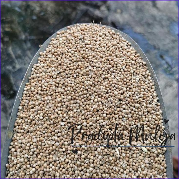 

Asli..! Ketumbar Biji 1Kg / 1000Gr