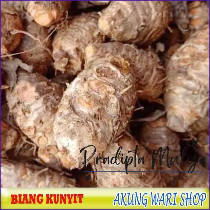 

Cuci Gudang..!! Biang Kunyit / Pala Kunyit Kemasan 500 Gram