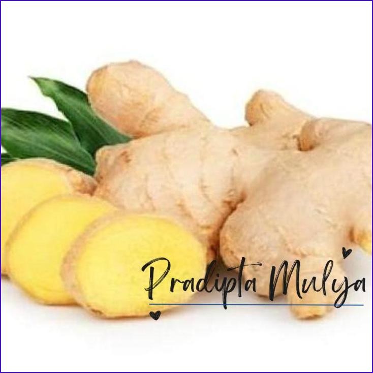 

New..!! Jahe - 250 Gram [Grosir]