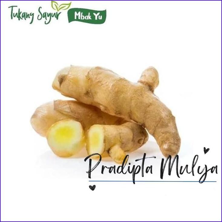 

Yok Di Co.! Jahe Putih Segar 250Gr