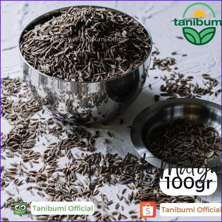 

Langsung Gas.! Cumin Seed | 100G | Jintan Putih | Jeera | Biji Jinten Premium