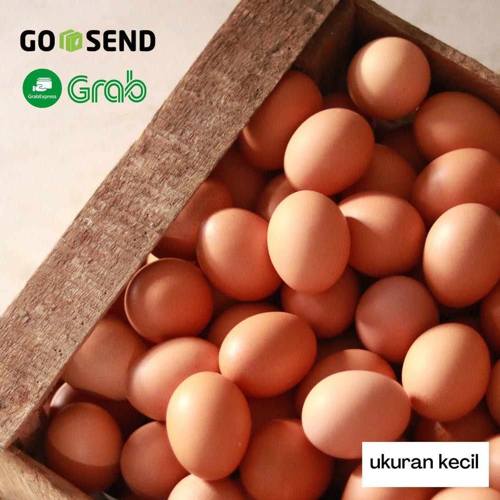

TELUR / TELOR AYAM FRESH (PER KG) UKURAN KECIL | SUPPLIER / DISTRIBUTOR TELUR BANDUNG
