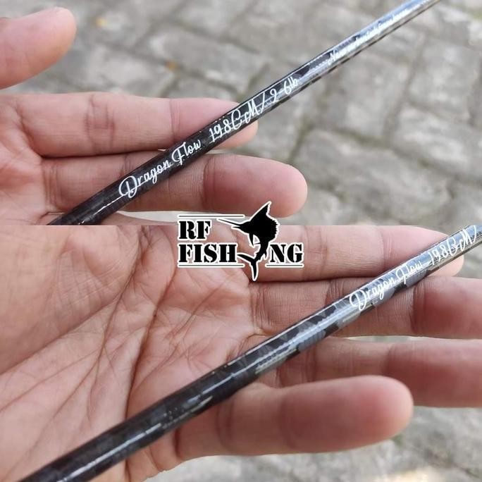 (Expert) Blank Carbon hollow Ultralight