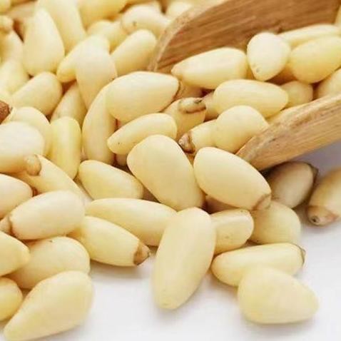 

Raw Pine Nut / Kacang Pinus Mentah