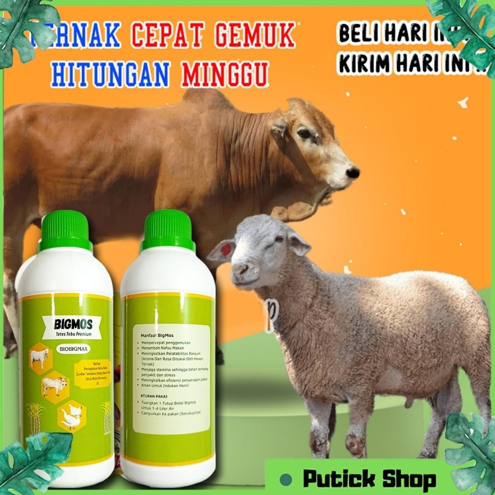 Vitamin Kambing Sapi Biar Gemuk BIGMOS Obat Kambing Sapi Cepat Gemuk Molase Tetes Tebu Murni AST