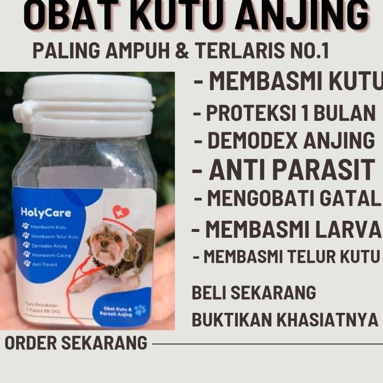 Obat Kutu Anjing Demodex Paling Ampuh Holycare AST