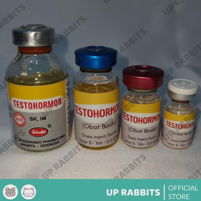 Testohormon Inject Hormon Tingkatkan Reproduksi Hewan Jantan AST