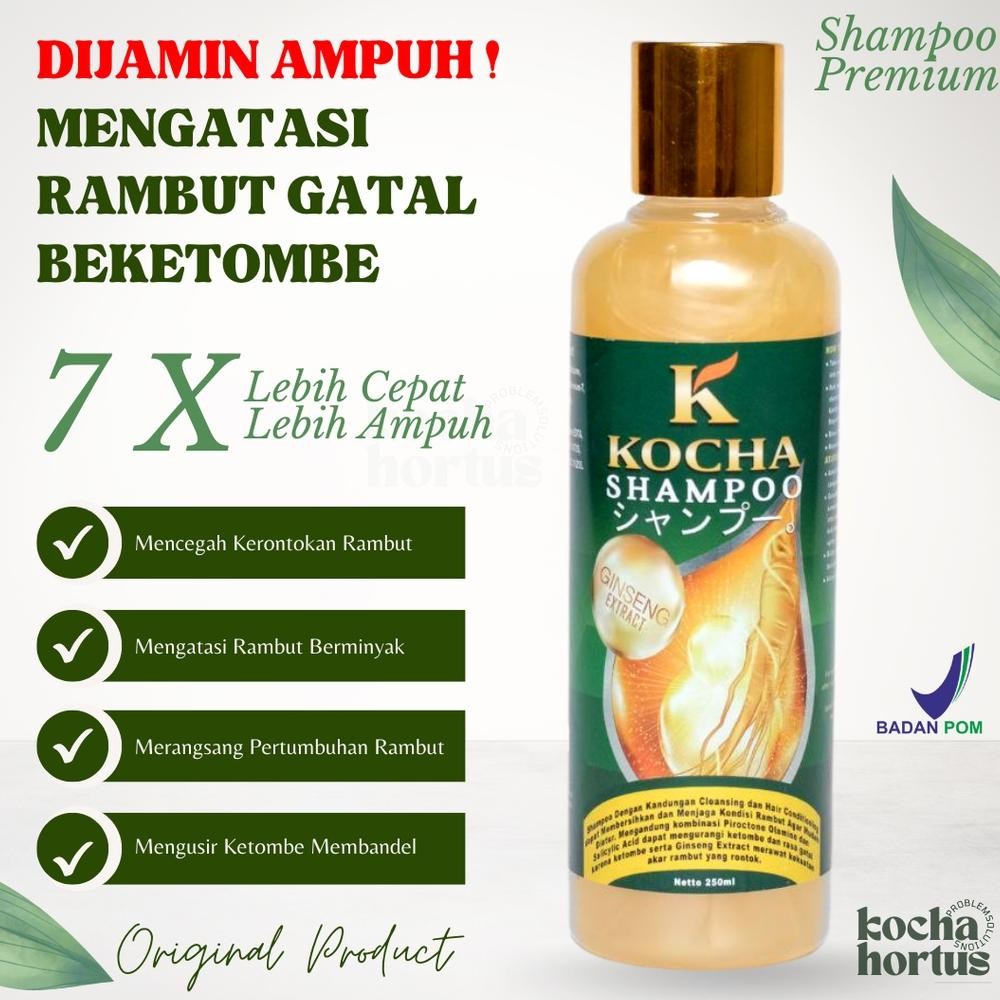 Obat Rambut Rontok Parah dan Anti Ketombe Paling Ampuh by Kocha Sampo Anti Ketombe Sangat Ampuh