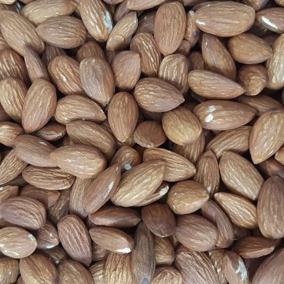 

kacang almond panggang tanpa kulit 250 gram termurah
