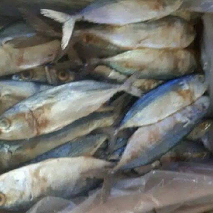 

Ikan Peda Putih 1kg