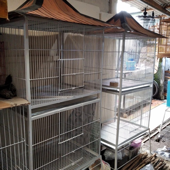 TERBARU kandang Ayam. bekisar. ayam ketawa ayam cemani dll kandang ayam