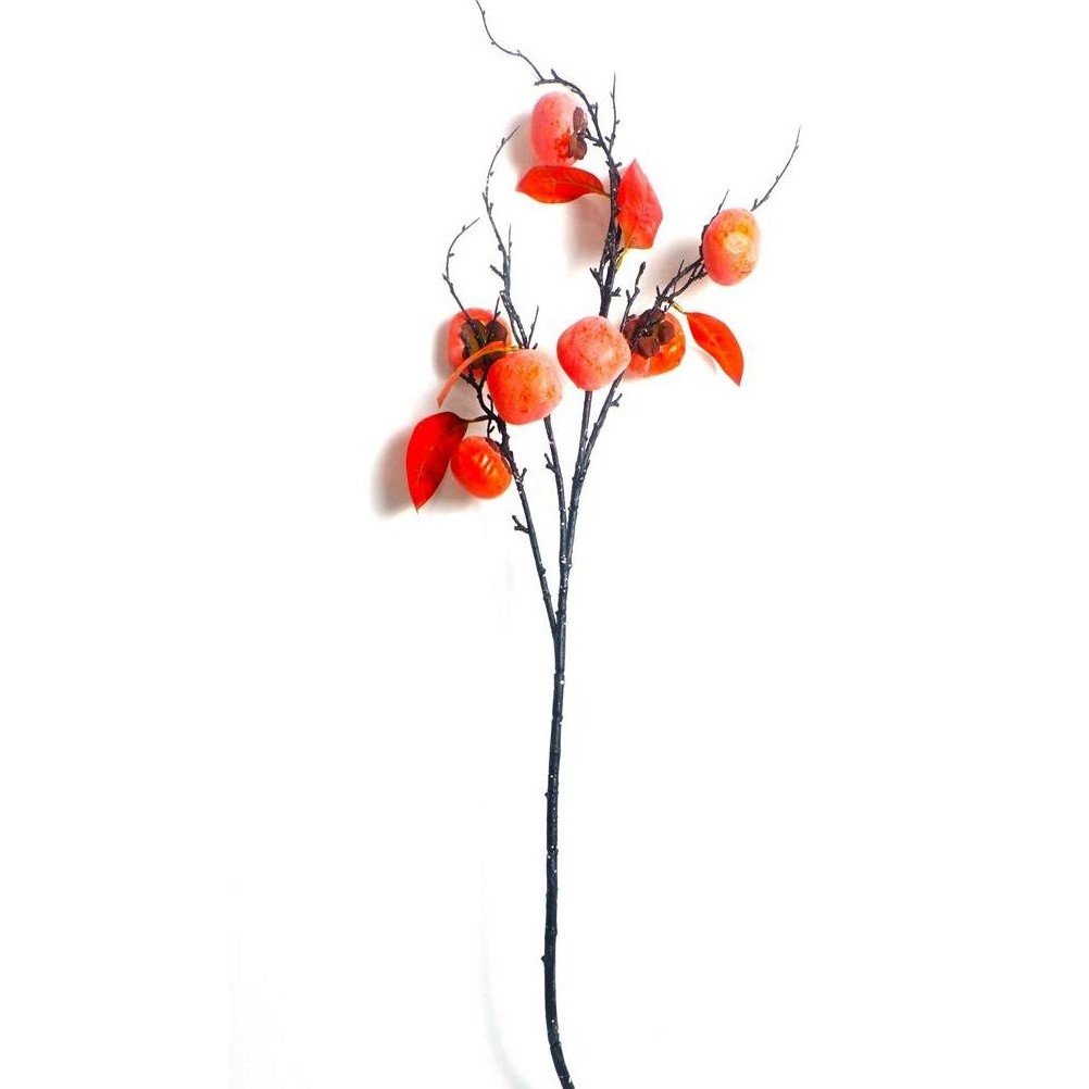 Sale Persimmon Fruit Branch Tanaman Buah Kesemek Dekorasi Imlek