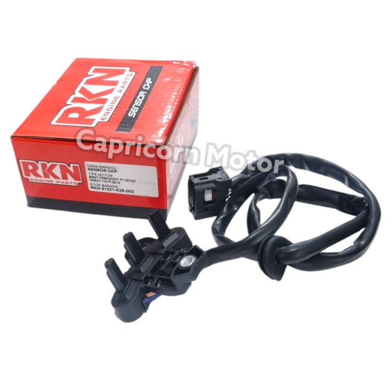 Sensor CKP BEAT FI SCOOPY FI K81 STATER KASAR RKN Spull Kaki 3