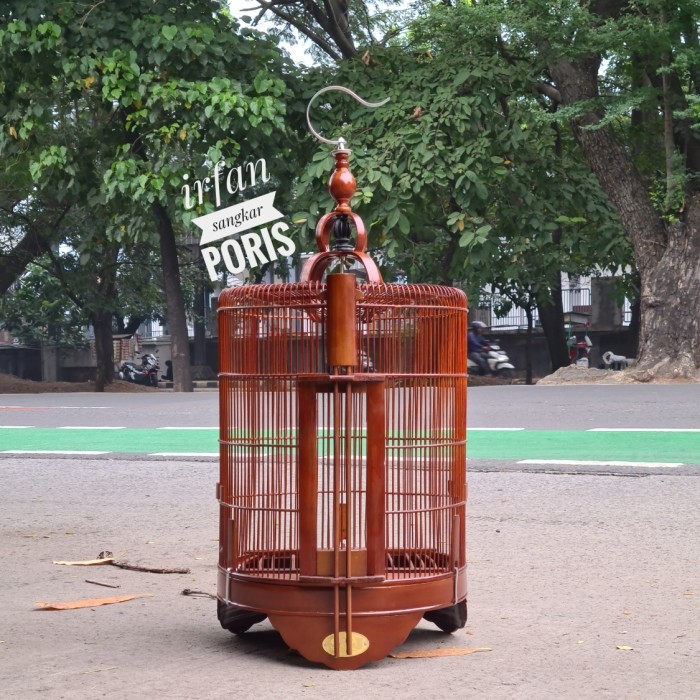 Sangkar Anis Rafi Jaya