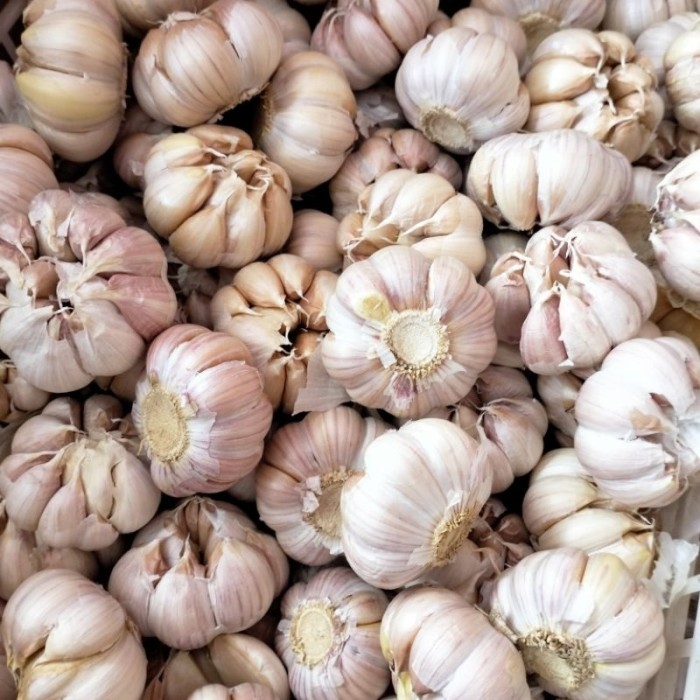 

TERLARIS BAWANG PUTIH HONAN MURAH!!! MURAH