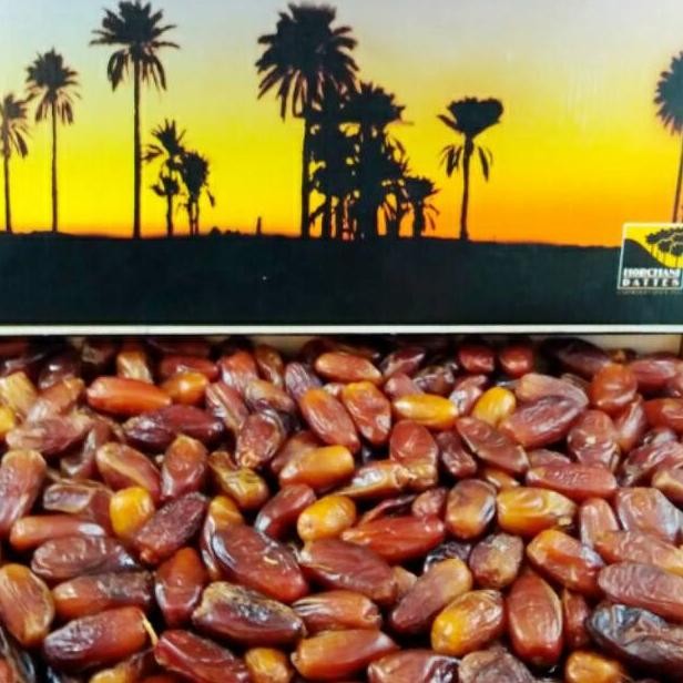 

[ COD ] KURMA PALM FRUIT NON TANGKAI 5 KG / KURMA PALM FRUIT MADU / KURMA TUNIS / KURMA SEHAT