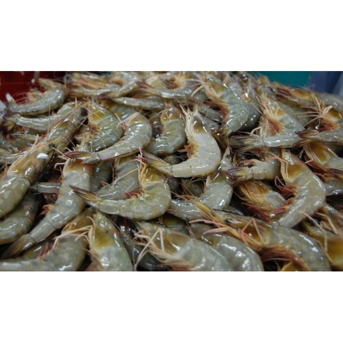 

Readyy!! Kerupuk/Kemplang Mentah Udang Bangka Belitung