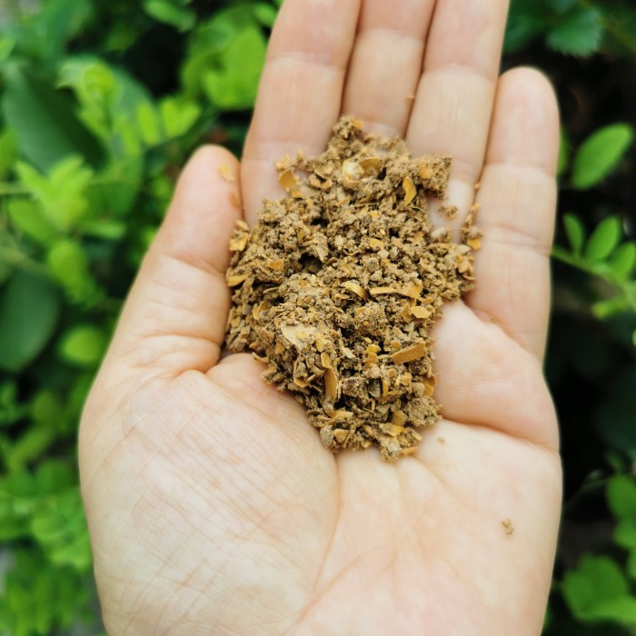 ASLI INSEKTISIDA NEMATISIDA NABATI, PENGENDALI HAMA ORGANIK (NEEM CAKE) 1KG KODE 570