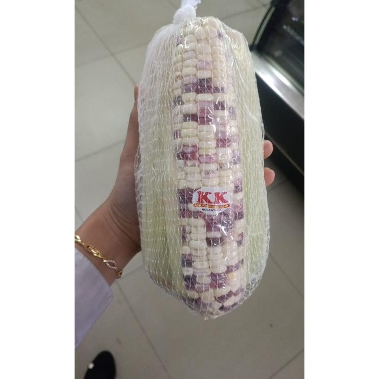 

Jagung Etan Pelangi Etan Putih Campur Ungu Ii 3 Pa