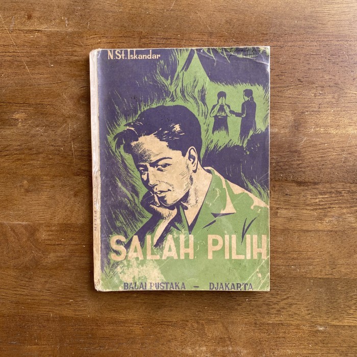 Salah Pilih - N. St. Iskandar Terbaru