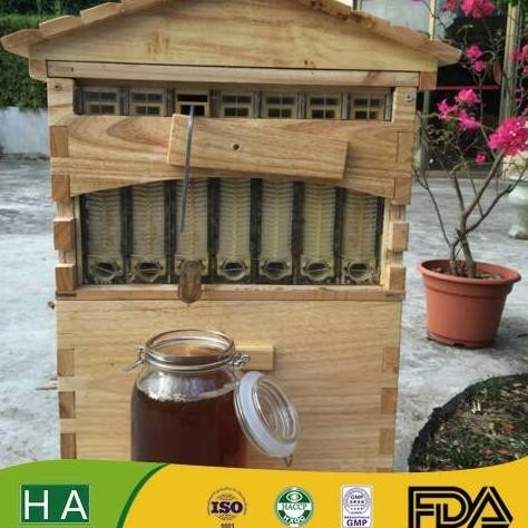 ORIGINAL STICK FLOW HONEY BEE HIVE