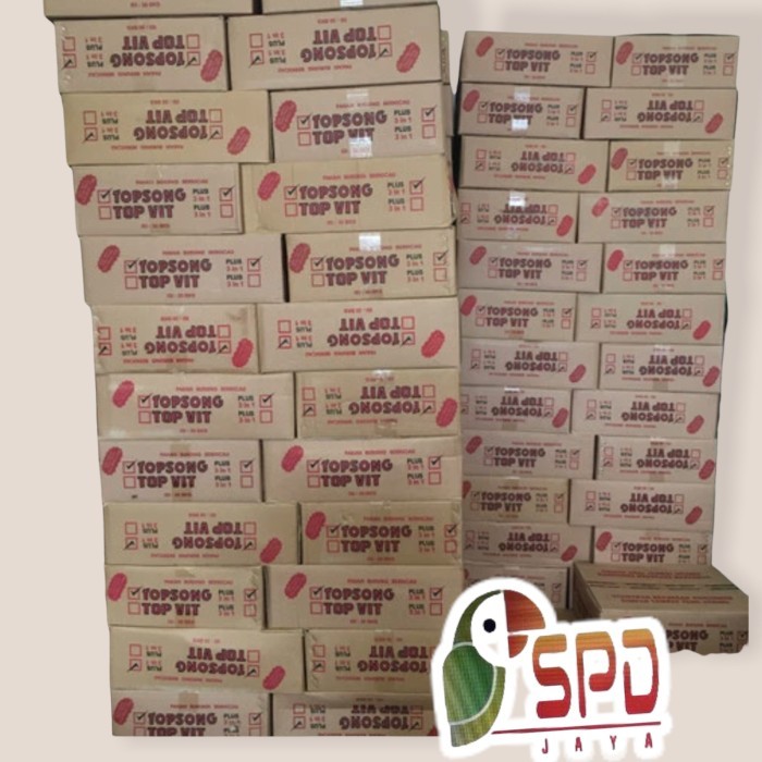 Grosir TOPSONG DUS isi 30