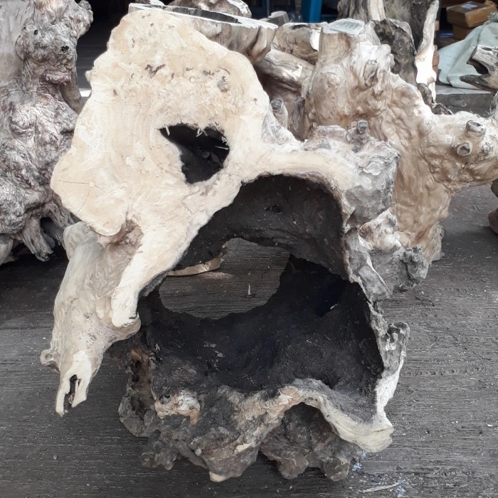Hiding cave bonggol kayu kopi bolong alami ukuran jumbo