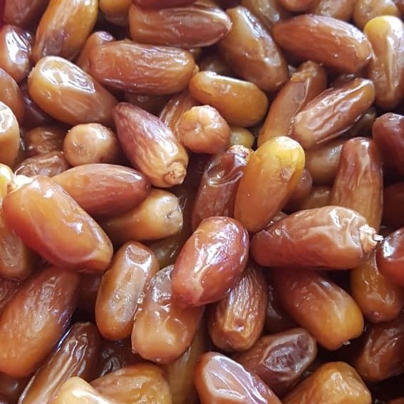 

kurma tunisa madu