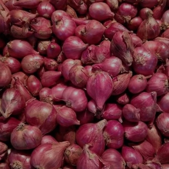 

Promo Bawang Merah Brebes Best Seller