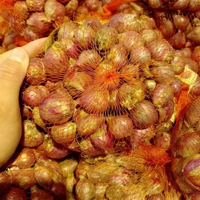 

Ready Bawang Merah Premium 1 Kg Premium Shallot 1 Kg Best Seller