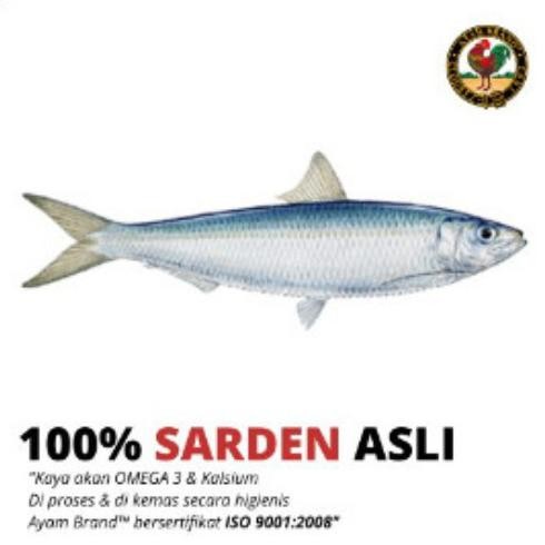 

Ikan Sarden Kaleng Saus Tomat Oval Ayam Brand 425gr JRS