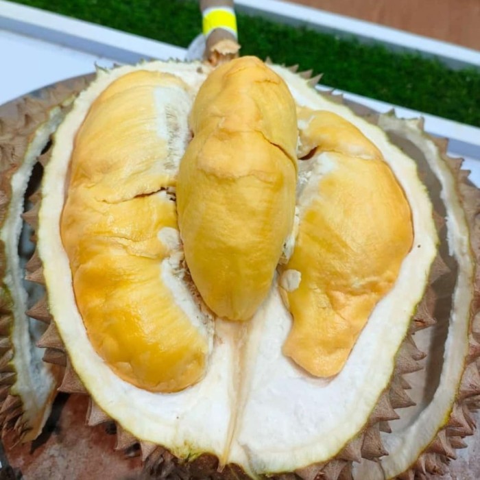 

Buah Durian Bawor Promo Durian Bawor Utuh Super -+2,5 Kg