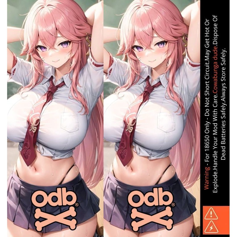 

Premium Cut - Famstore Pelindung Baterai Stiker Wrap 18650 Waifu V6 Dan Anti Gores 5 Garskin Stiker / Case Custom Terlaris 2PCS/ Fullbody