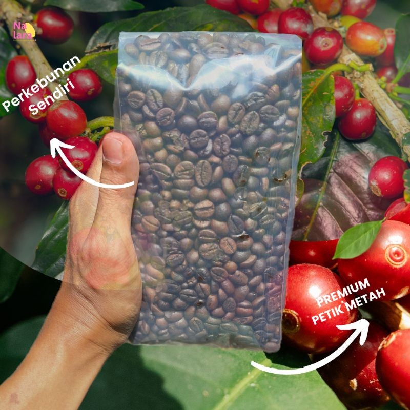

Biji Kopi Roasting Kopi Robusta Wonosobo Dark Roast- Nalara Coffee