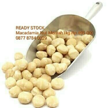 

Macadamia Nut 500gram / Kacang Macadamia