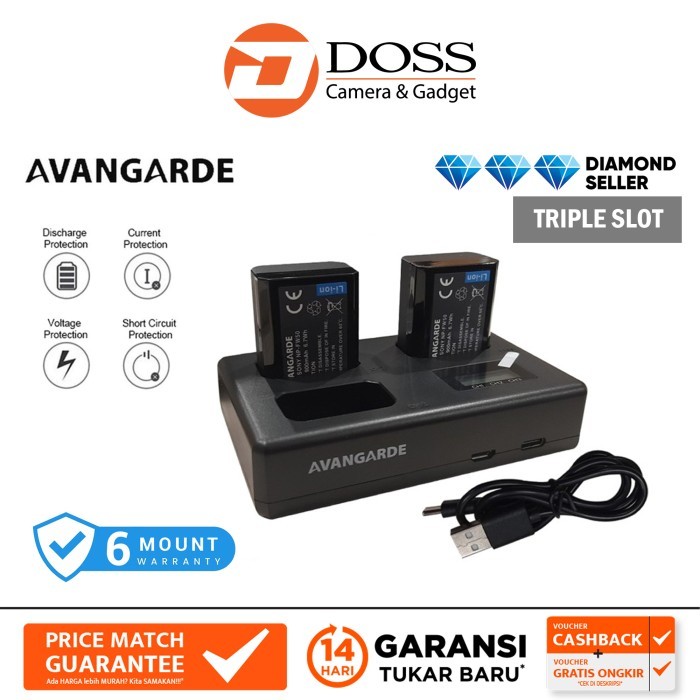 Avangarde Charger Kit Sony Fw-50 Battery & Dl-Fw-50 / Avangarde Fw50