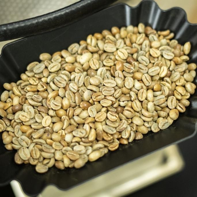 

Kopi Arabika Gayo Honey Takengon 500G~Single Origin Specialty