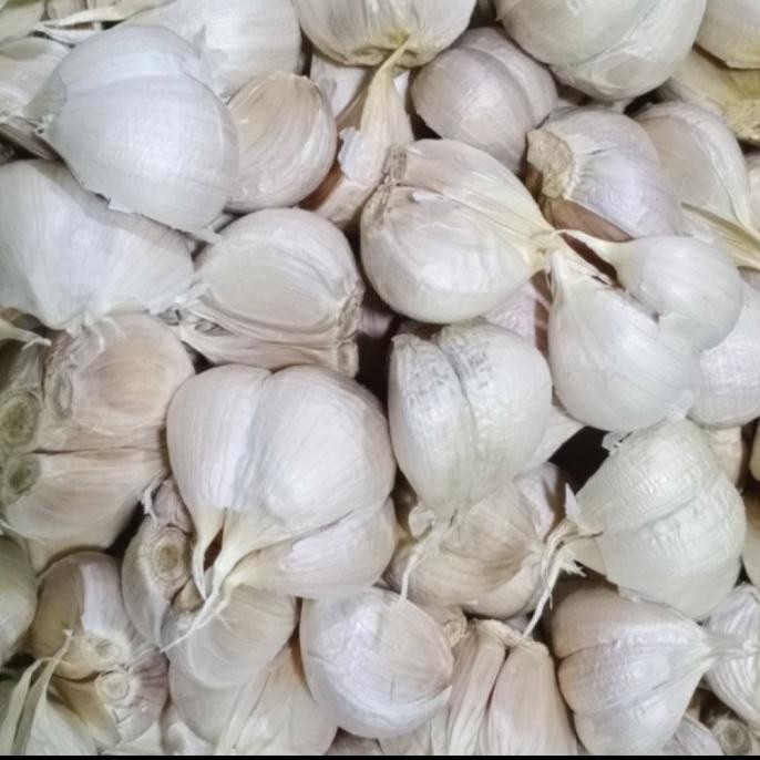 

BAWANG PUTIH KATING 1/2KG ORIGINAL