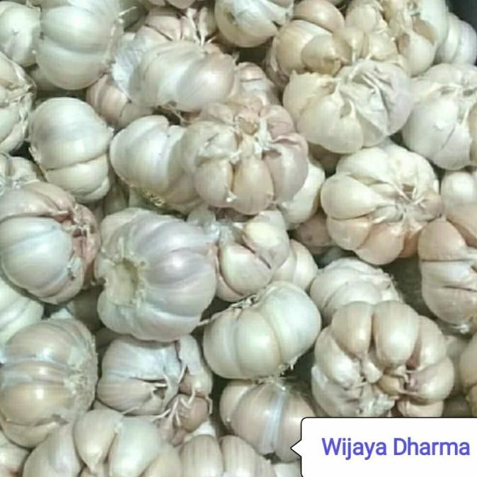 

BAWANG PUTIH BERSIH ORIGINAL