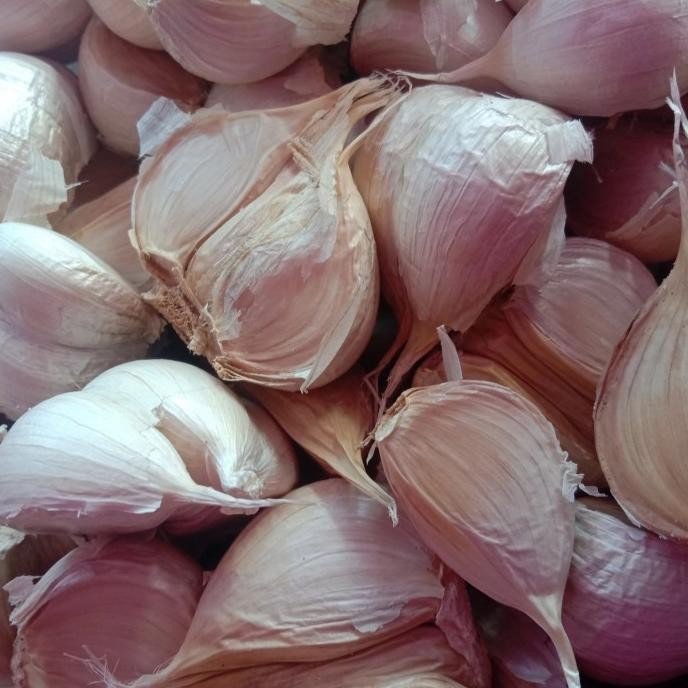 

BAWANG PUTIH KATING SUPREME 1 KILO ORIGINAL