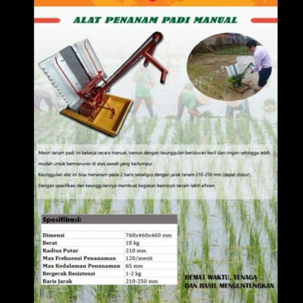 Alat penanam padi manual . Manual rice transplanter . Pertanian