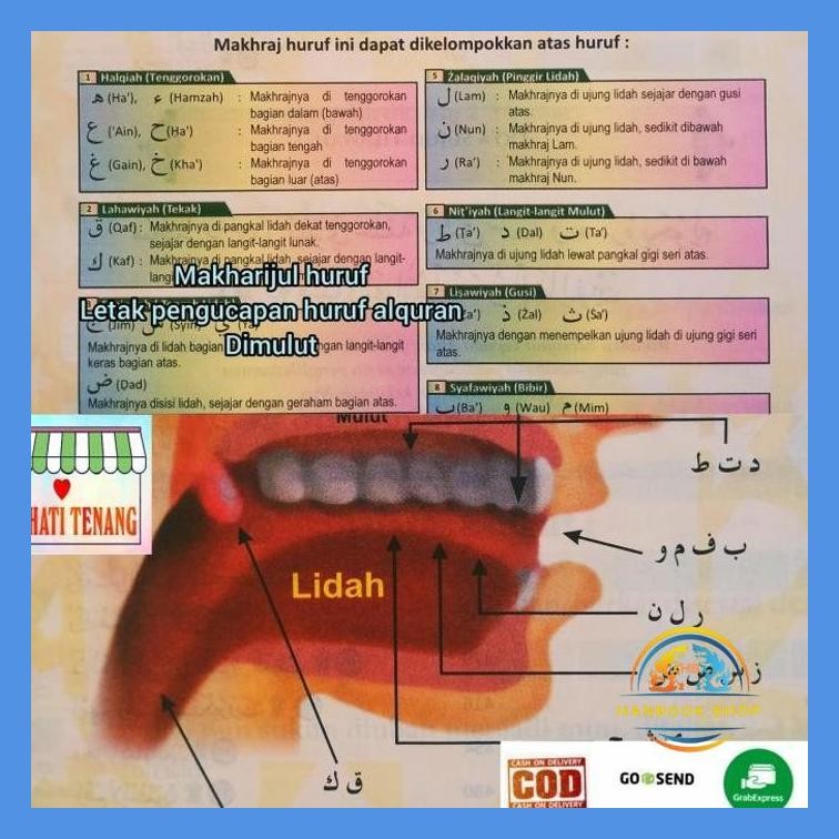 ALQURAN BESAR TERJEMAHAN PERKATA PEMULA TAJWID WARNA 30 JUZZ QURAN