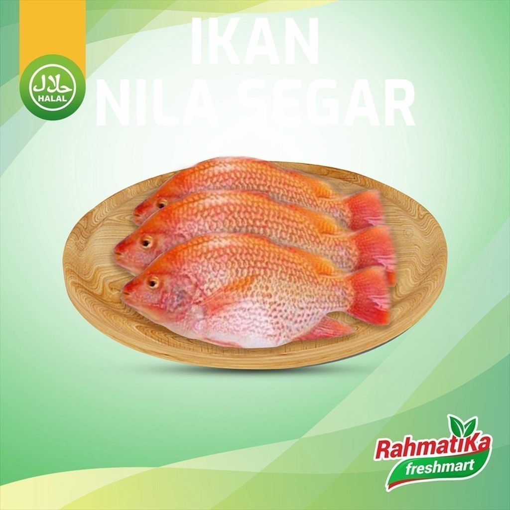 

Ikan Nila Fresh / Ikan Nila Segar 500 gram