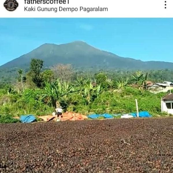 

Kopi Sangrai Robusta Pagaralam Asli Enak Nikmat Grosir 1Kg