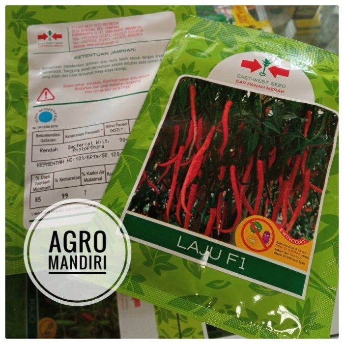 Benih Bibit Cabe / Cabai Keriting Laju F1 isi 1750 butir Tahan Layu