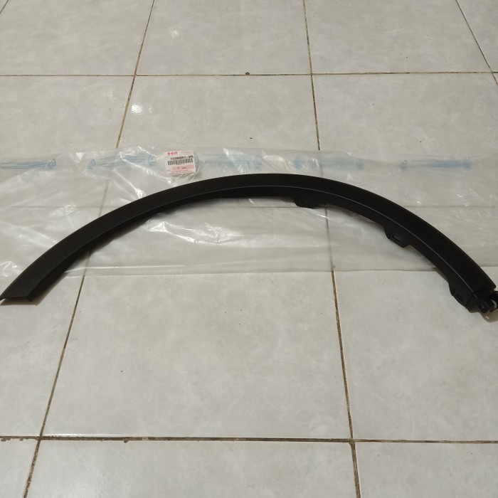 Lis spakbor Ignis asli SGP - Belakang kiri