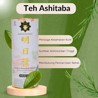 

Ashitaba Detox Tea - Bersihkan Tubuh dari Toksin dan Limbah