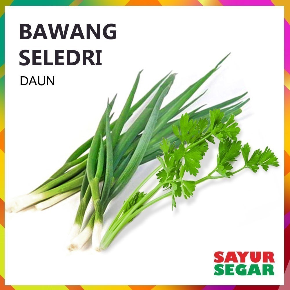 

Daun Bawang Seledri Sayur [1 Paket] - Ready to Cook