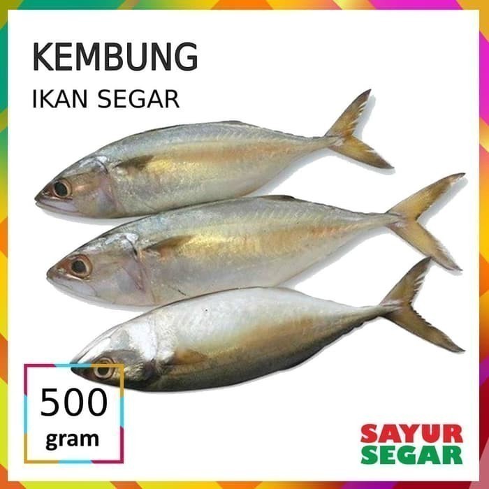 

Ikan Kembung [500G]